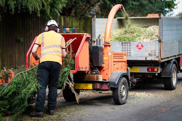 Best Emergency Tree Service  in Sun Prairie, WI